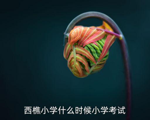西樵小學什么時候小學考試
