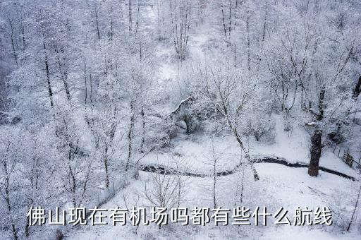 佛山現在有機場嗎都有些什么航線