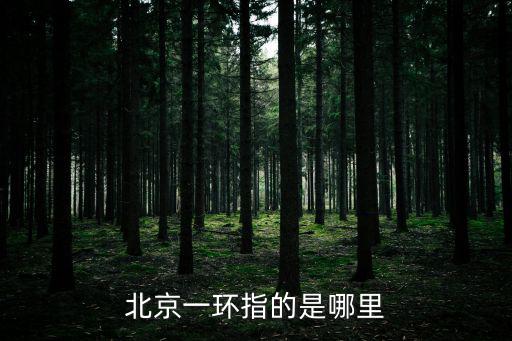 一環，一環是什么意思