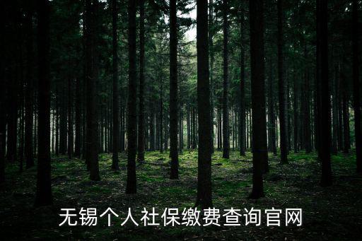 無錫個人社保繳費查詢官網