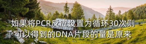 如果將PCR反應(yīng)設(shè)置為循環(huán)30次則可以得到的DNA片段的量是原來