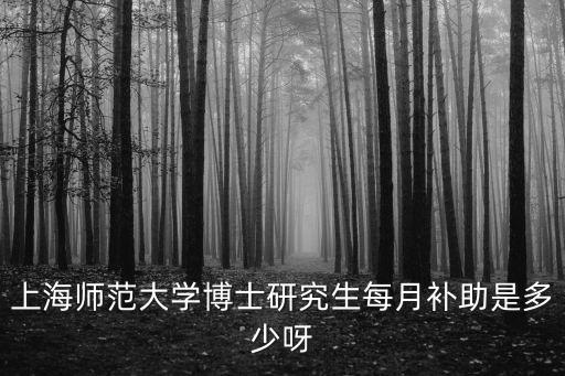 上海師范大學博士研究生每月補助是多少呀