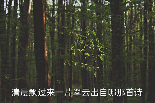 清晨飄過來一片翠云出自哪那首詩