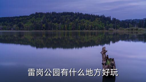 雷崗公園有什么地方好玩