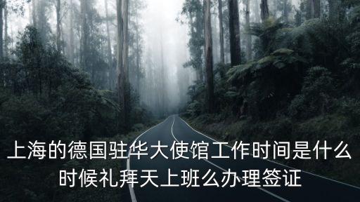 上海的德國駐華大使館工作時間是什么時候禮拜天上班么辦理簽證