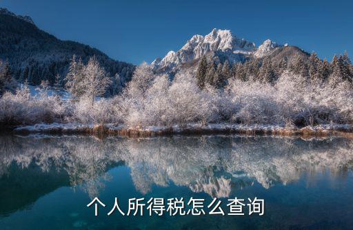 個(gè)人所得稅怎么查詢