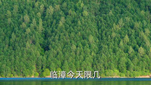 臨漳限號查詢，臨漳今天限幾
