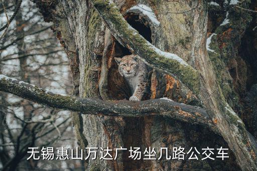 無錫惠山萬達廣場，無錫惠山萬達廣場什么時候開業