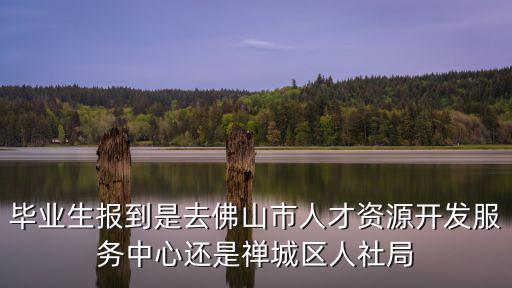 畢業生報到是去佛山市人才資源開發服務中心還是禪城區人社局