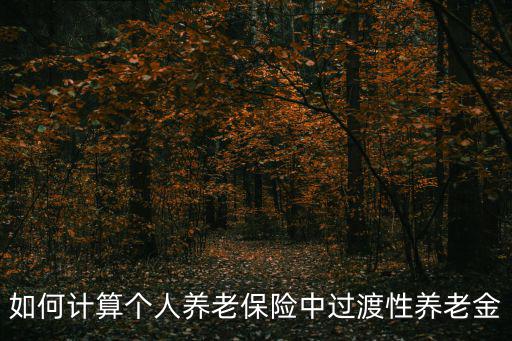 過(guò)渡性養(yǎng)老金計(jì)算方法，山西怎樣計(jì)算過(guò)渡性養(yǎng)老金