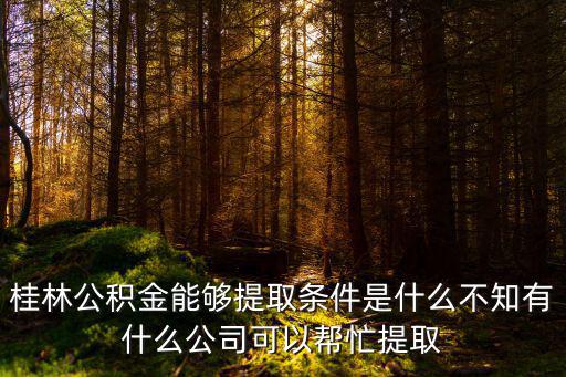 桂林公積金能夠提取條件是什么不知有什么公司可以幫忙提取
