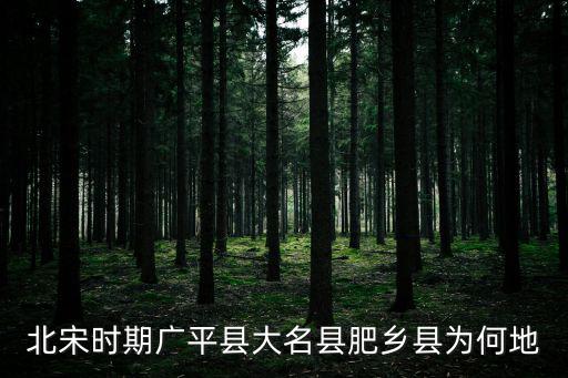 北宋時期廣平縣大名縣肥鄉(xiāng)縣為何地