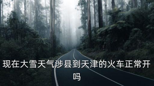 現(xiàn)在大雪天氣涉縣到天津的火車正常開嗎