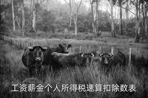 工資薪金個(gè)人所得稅速算扣除數(shù)表