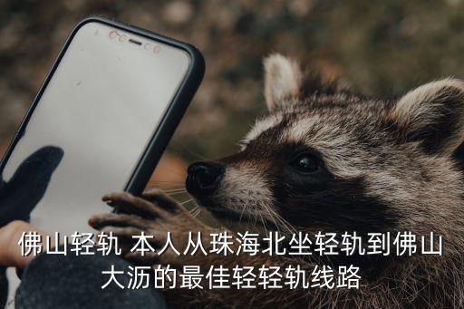 佛山輕軌 本人從珠海北坐輕軌到佛山大瀝的最佳輕輕軌線路