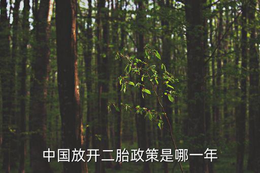中國(guó)放開(kāi)二胎政策是哪一年