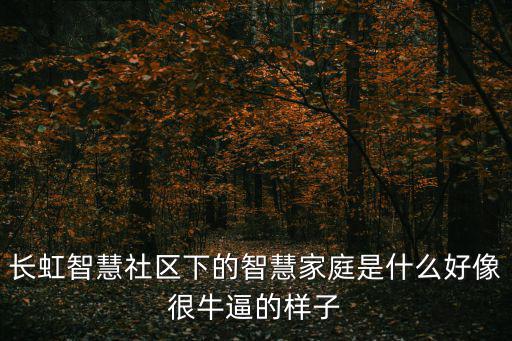 長(zhǎng)虹智慧社區(qū)下的智慧家庭是什么好像很牛逼的樣子