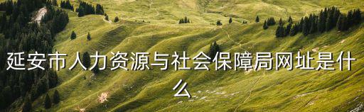 延安市人力資源與社會保障局網址是什么