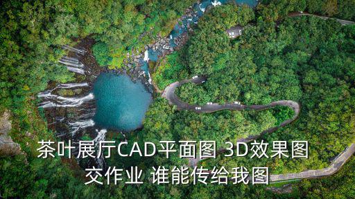 茶葉展廳CAD平面圖 3D效果圖 交作業 誰能傳給我圖