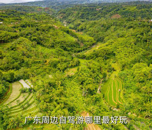 廣東周邊自駕游哪里最好玩