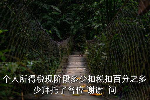 個人所得稅現階段多少扣稅扣百分之多少拜托了各位 謝謝  問