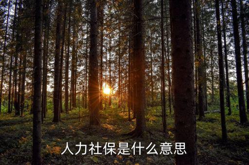 人力社保是什么意思