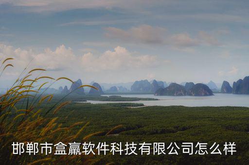 邯鄲市盒羸軟件科技有限公司怎么樣