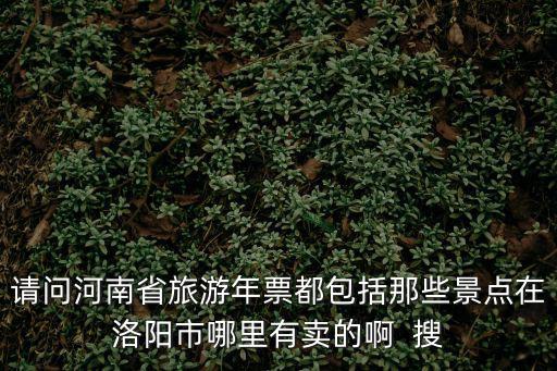 請問河南省旅游年票都包括那些景點在洛陽市哪里有賣的啊  搜