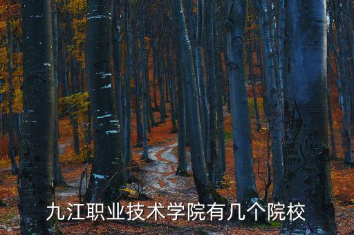 九江職業技術學院有幾個院校