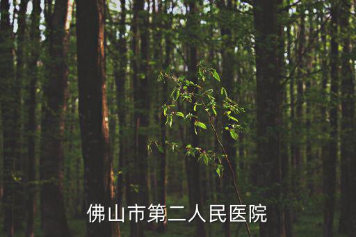 佛山市第二人民醫院