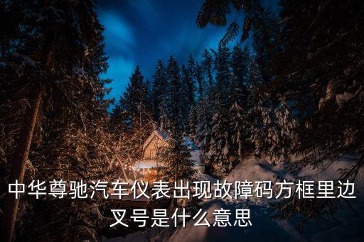 尊馳汽車，中華尊馳汽車20