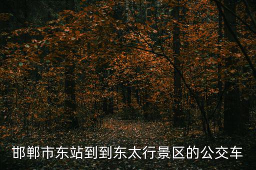 邯鄲市東站到到東太行景區(qū)的公交車