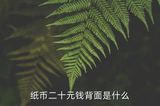 紙幣二十元錢背面是什么