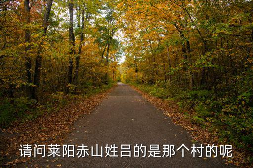 請問萊陽赤山姓呂的是那個村的呢