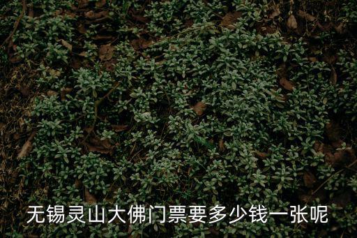無錫靈山大佛門票要多少錢一張呢