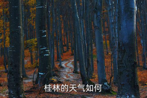 廣西桂林天氣，桂林的天氣怎么樣