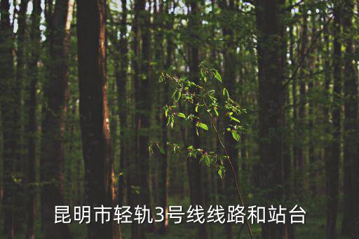 昆明市輕軌3號線線路和站臺