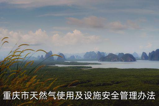 重慶天然氣，重慶市天然氣管理條例