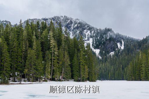 順德區(qū)陳村鎮(zhèn)