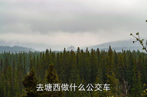 去塘西做什么公交車
