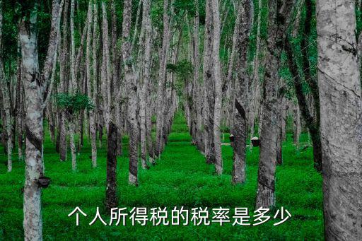 個人所得稅的稅率是多少