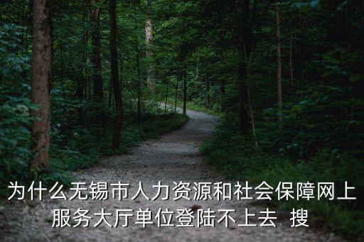 為什么無錫市人力資源和社會(huì)保障網(wǎng)上服務(wù)大廳單位登陸不上去  搜
