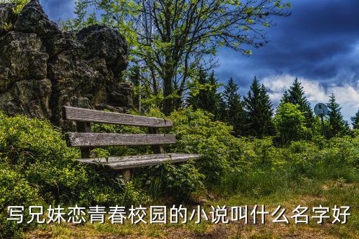 寫兄妹戀青春校園的小說叫什么名字好