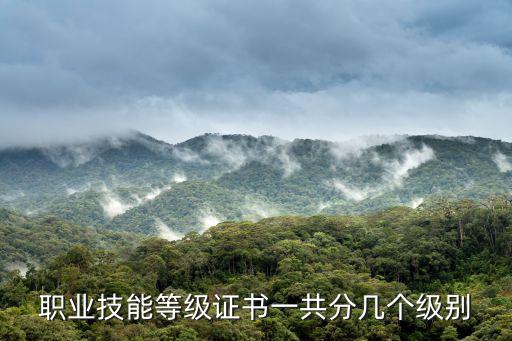 職業技能等級證書一共分幾個級別