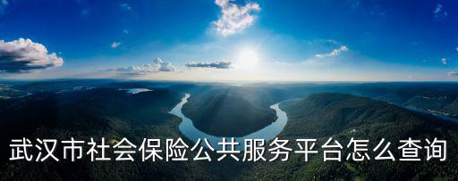 武漢市社會保險公共服務平臺怎么查詢