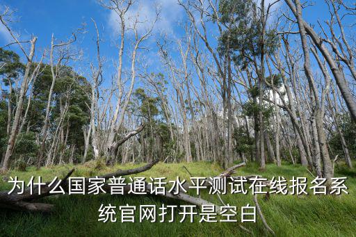 為什么國家普通話水平測試在線報名系統官網打開是空白
