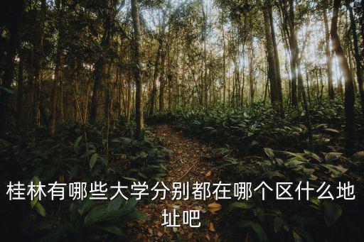桂林有哪些大學分別都在哪個區什么地址吧