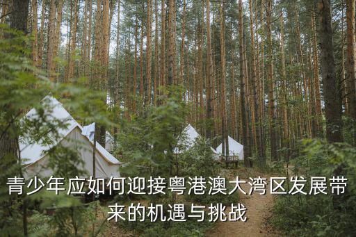 青少年應如何迎接粵港澳大灣區發展帶來的機遇與挑戰