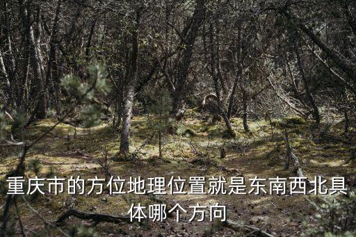 重慶市的方位地理位置就是東南西北具體哪個方向