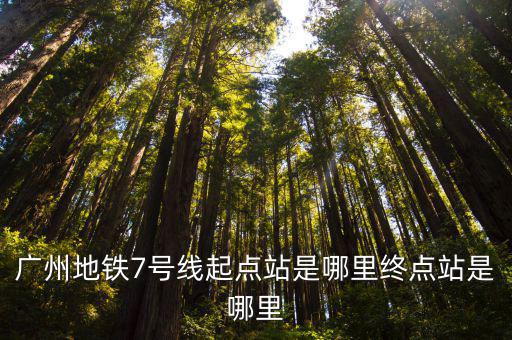 廣州地鐵7號線起點站是哪里終點站是哪里